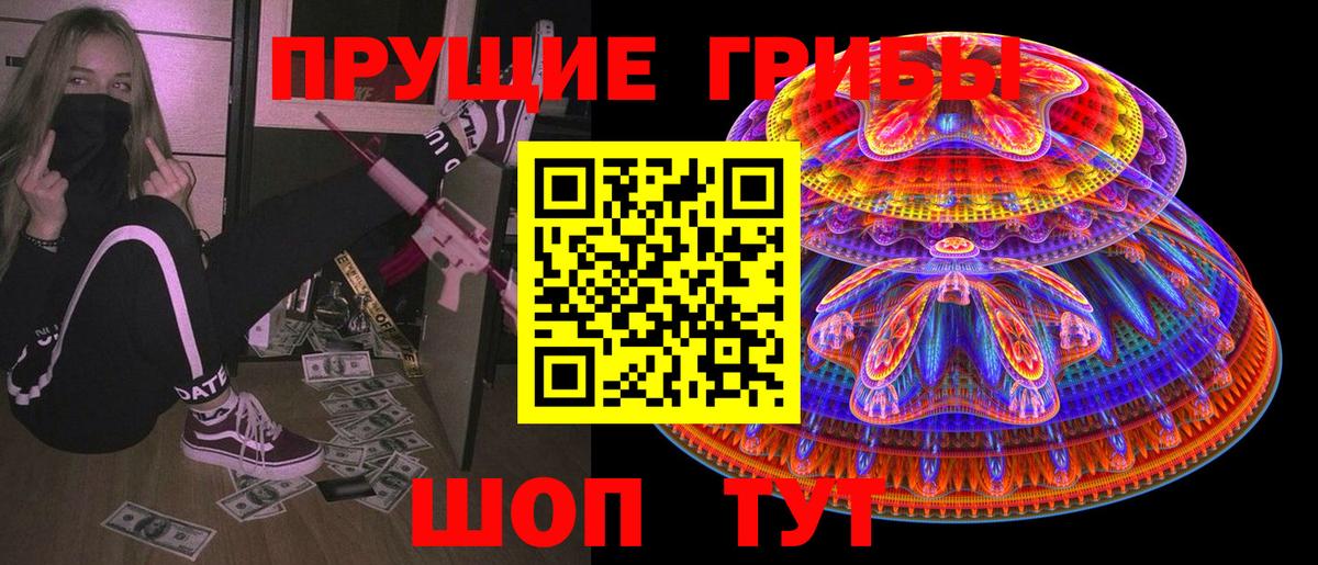 Новошахтинск  купить  цена  Вход с VPN  Псилоцибиновые грибы MAGIC MUSHROOMS 